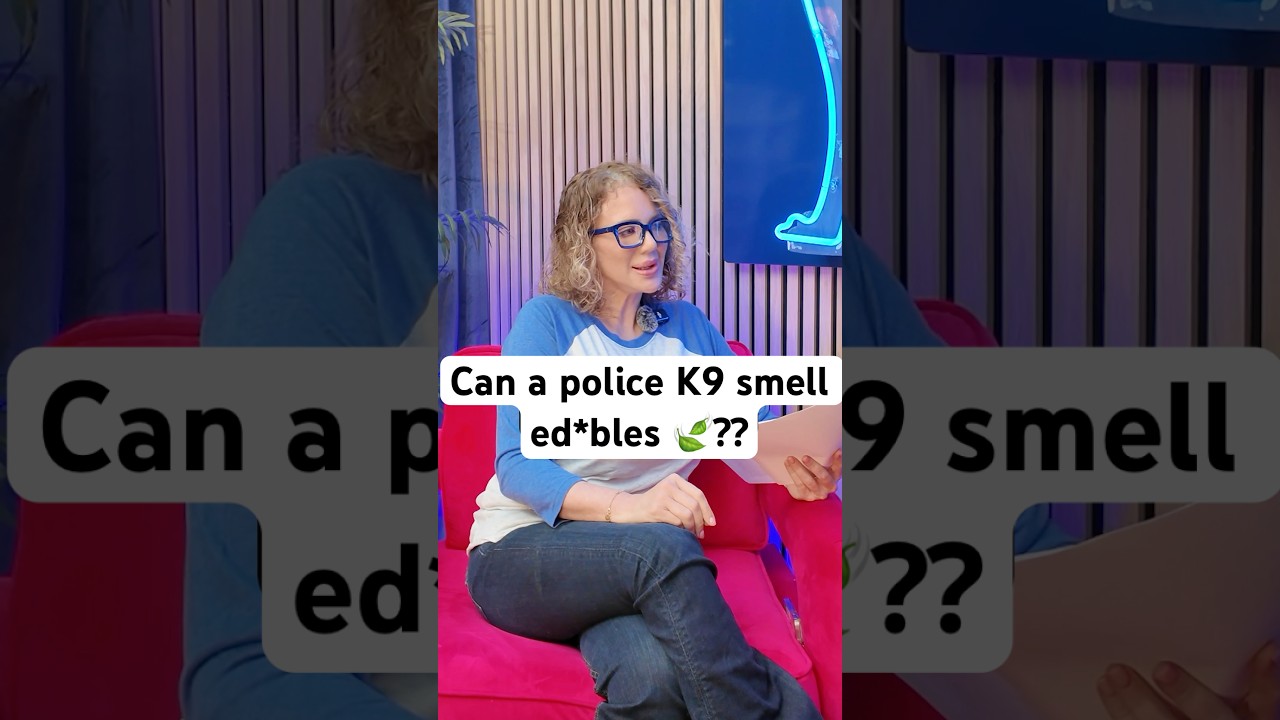 Can Police K9s Smell Edibles? The Truth Revealed 🐕🚔#k9unit #policek9 #dogtraining #lawenforcement