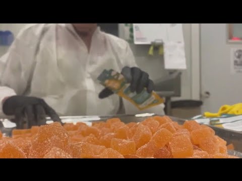 THC edible production in Minnesota