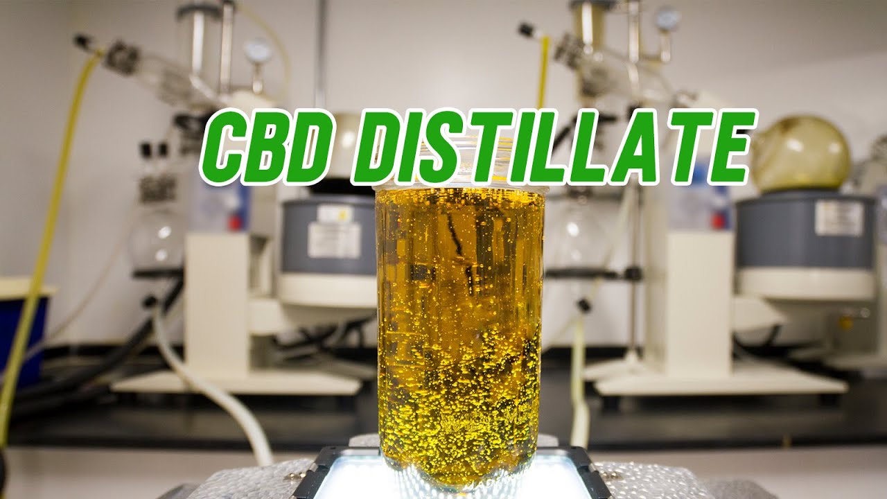 cbd oil extraction experiment #SHORTS