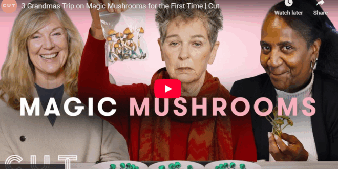 3 Grandmas Trip on Magic Mushrooms for the First Time