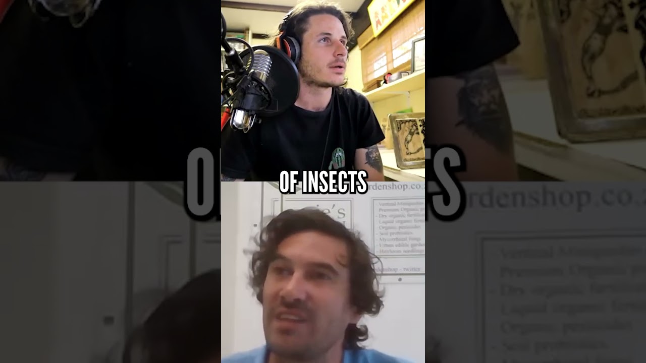 From Caterpillars to Bacteria: Natural Solutions for Insect Pests