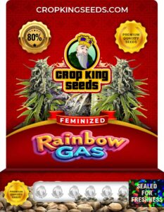 Rainbow Gas Feminized Seeds