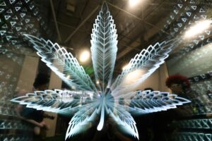 Recurring vomiting tied to long-term cannabis use