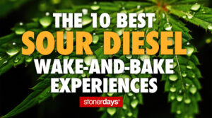 The 10 Best Sour Diesel Wake-and-Bake Experiences