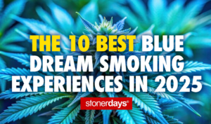 The 10 Best Blue Dream Smoking Experiences in 2025