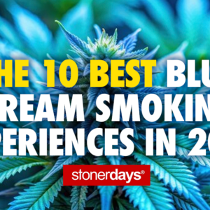 The 10 Best Blue Dream Smoking Experiences in 2025