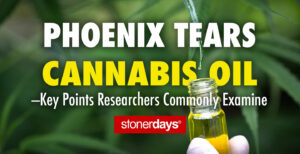 Phoenix Tears Cannabis Oil—Key Points Researchers Commonly Examine