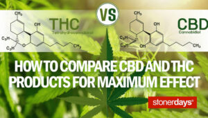 How to Compare CBD and THC Products for Maximum Effect