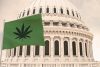 Washington Tried To Kill Hemp. Lawmakers Just Launched the Counterattack