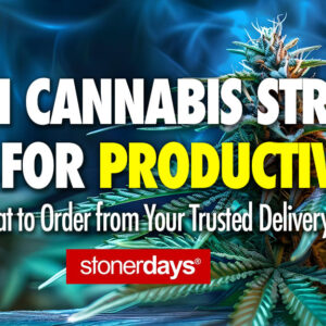 Which Cannabis Strain Is Best for Productivity? And What to Order from Your Trusted Delivery Service