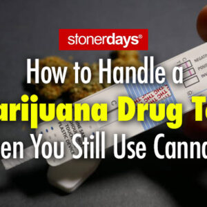 How to Handle a Marijuana Drug Test When You Still Use Cannabis