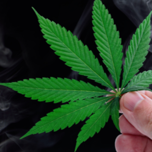 Cannabis Rescheduling: Separating Fact From Fiction