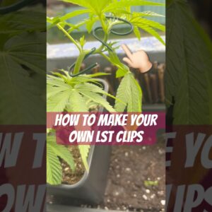 How to make your own LST Clips Tutorial #420 #lowstress #crazybud