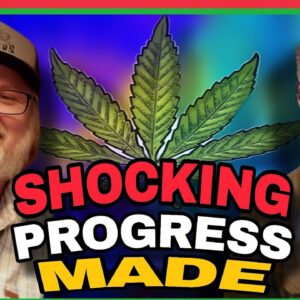 The Ultimate Grow: Past, Present & Future of Cannabis Cultivation