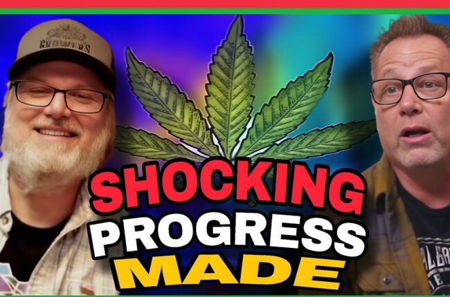 The Ultimate Grow: Past, Present & Future of Cannabis Cultivation