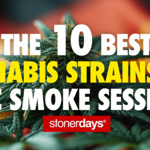 The 10 Best Cannabis Strains for Epic Smoke Sessions