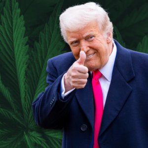 President Trump Takes Executive Action to Federally Reschedule Marijuana