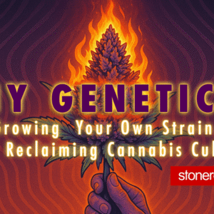 DIY Genetics: Why Growing Your Own Strain Feels Like Reclaiming Cannabis Culture