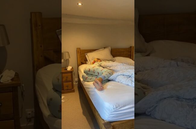 Time for a nap #trendingshorts #youtubeshorts #bounce