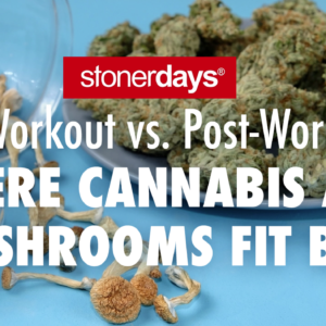 Pre-Workout vs. Post-Workout: Where Cannabis and Mushrooms Fit Best