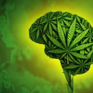 What cannabis really does for chronic pain