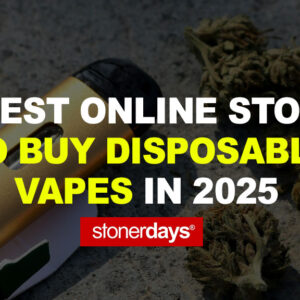 10 Best Online Stores to Buy Disposable Vapes in 2025