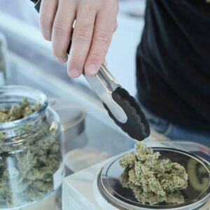 Cannabis bill negotiating panel in place for new year – Sentinel and Enterprise