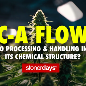 THC-A Flower—How Do Processing & Handling Influence Its Chemical Structure?