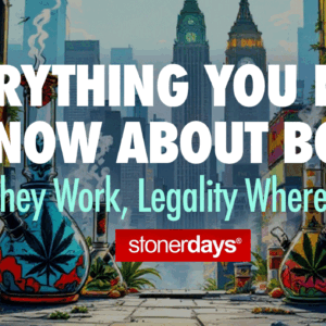 Everything You Need to Know About Bongs: How They Work, Legality & Where to Buy
