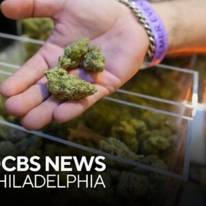 Doctors recommend medical marijuana use as more patients seek safer alternative to opioids