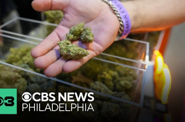 Doctors recommend medical marijuana use as more patients seek safer alternative to opioids