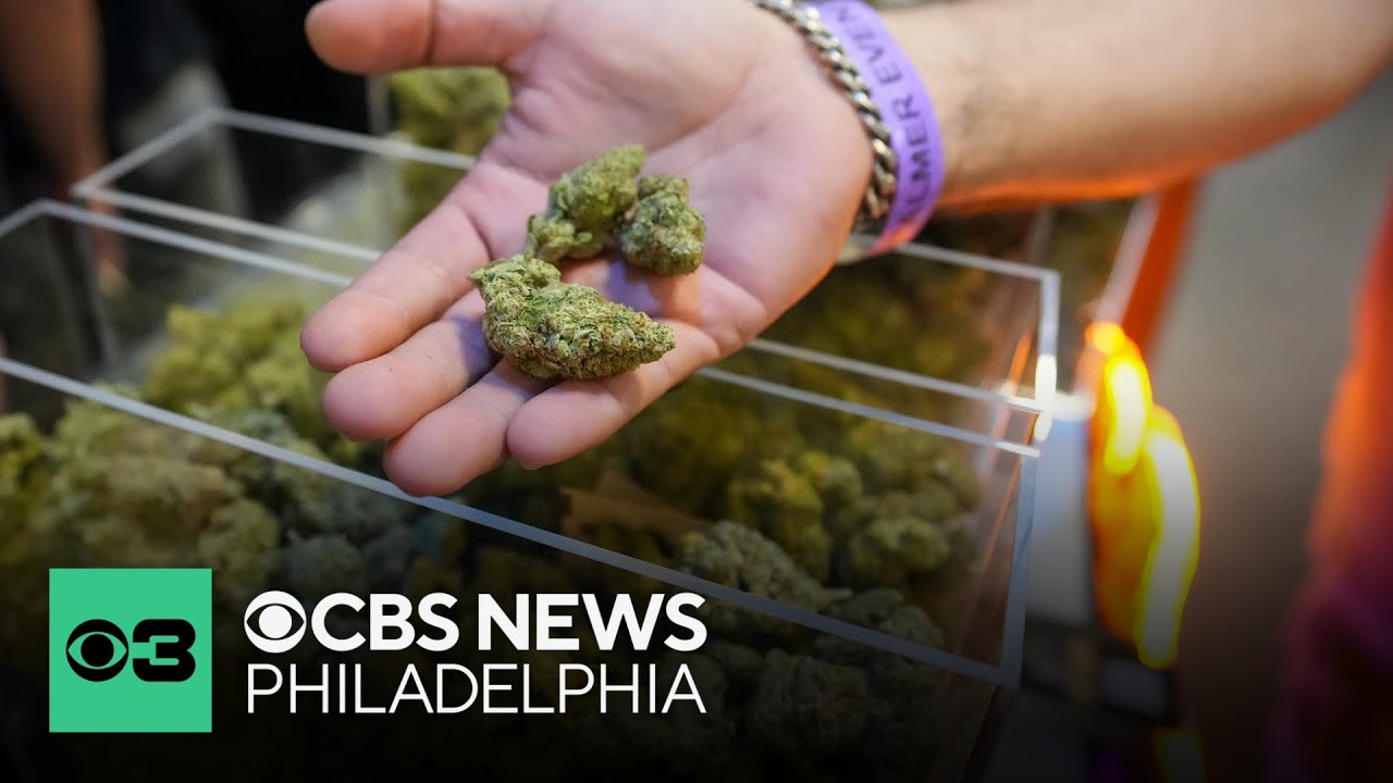 Doctors recommend medical marijuana use as more patients seek safer alternative to opioids