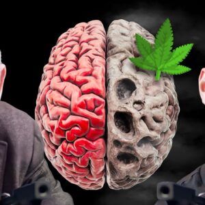 The No.1 Brain Doctor: This Parenting Mistake Ruins Your Kids Brain & Alcohol Will Ruin Yours!