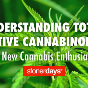Understanding Total Active Cannabinoids for New Cannabis Enthusiasts
