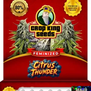 Citrus Thunder Strain Feminized Seeds