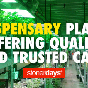 Dispensary Place Offering Quality and Trusted Care