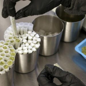 Massachusetts' cannabis sales inch higher in 2025 to record $1.65B | Boston