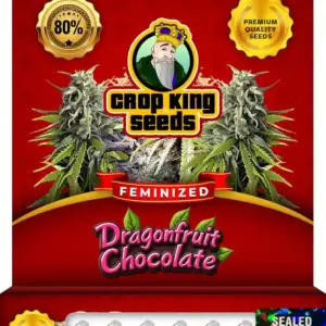 Dragonfruit Chocolate Strain Feminized Seeds