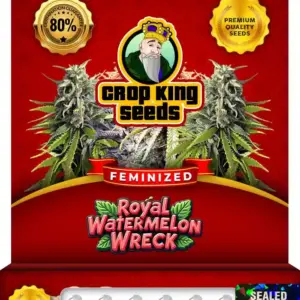 Royal Watermelon Wreck Strain Feminized Seeds