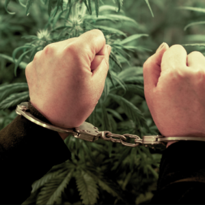 Multiple States Facing Marijuana Legalization Repeal Threats in 2026