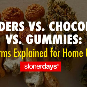 Powders vs. Chocolates vs. Gummies: Forms Explained for Home Use
