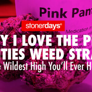 Why I Love The Pink Panties Weed Strain: The Wildest High You’ll Ever Have