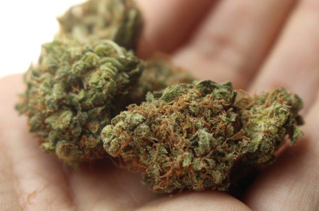 Delaware Lawmakers Consider Bill To Allow Medical Marijuana Use In Hospitals By Terminally Ill Patients