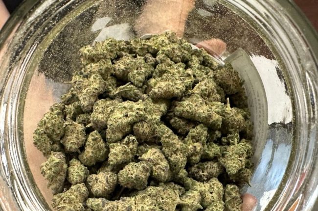 Two Oakland County cannabis shops fined for breaking rules – The Oakland Press