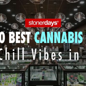 The 10 Best Cannabis Shops for Chill Vibes in 2026