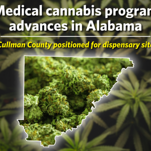 Alabama’s long-delayed medical cannabis program is moving closer to becoming operational following recent action by the Alabama Medical Cannabis Commission. Cullman County remains positioned as a future dispensary location after years of regulatory delays and legal challenges. (The Cullman Tribune)