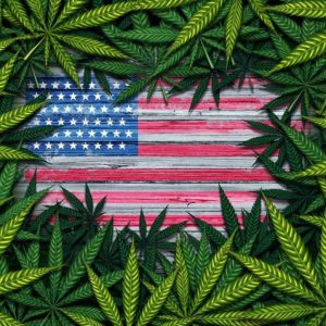 Where Is Cannabis Legal? A Guide To All 50 States