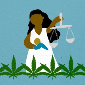 Cannabis Advocacy 101: What Advocates Do and Why It Matters
