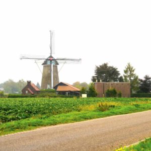 The World’s First AI-Driven Cannabis Seed-Sorting System Is Here