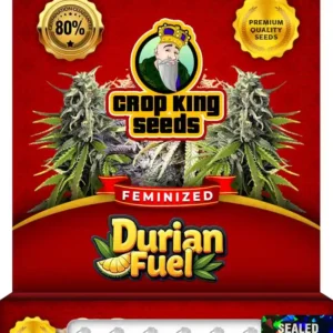 Durian Fuel Strain Feminized Seeds